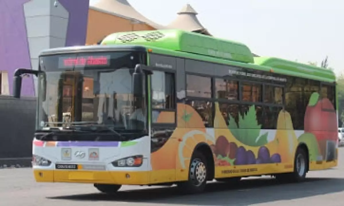 CEDA BUS