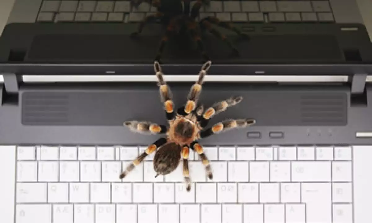 Se recomienda a usuarios consultar fuentes confiables de noticias y no hacer caso de estos videos sobre, todo en redes sociales. (Foto: Photos to Go)