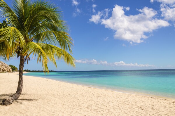 Parrot Cay