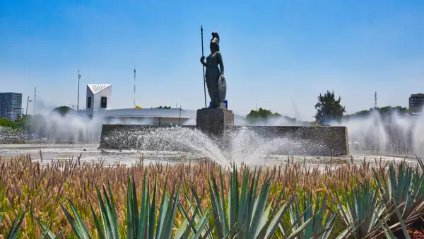 minerva guadalajara