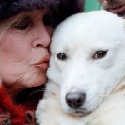 La actriz Brigitte Bardot será enterrada junto al mar en la Costa Azul