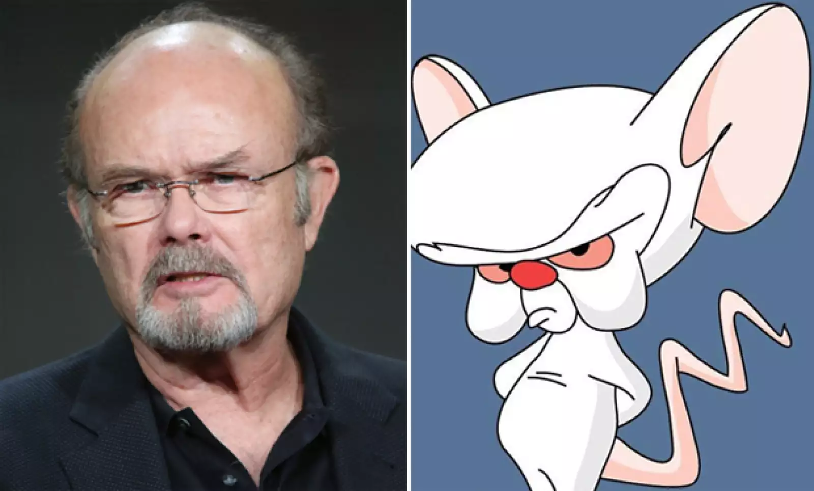 Estamos seguros que Cerebro fue inspirado en Kurtwood Smith de That 70s Show. Como dos gotas de agua.