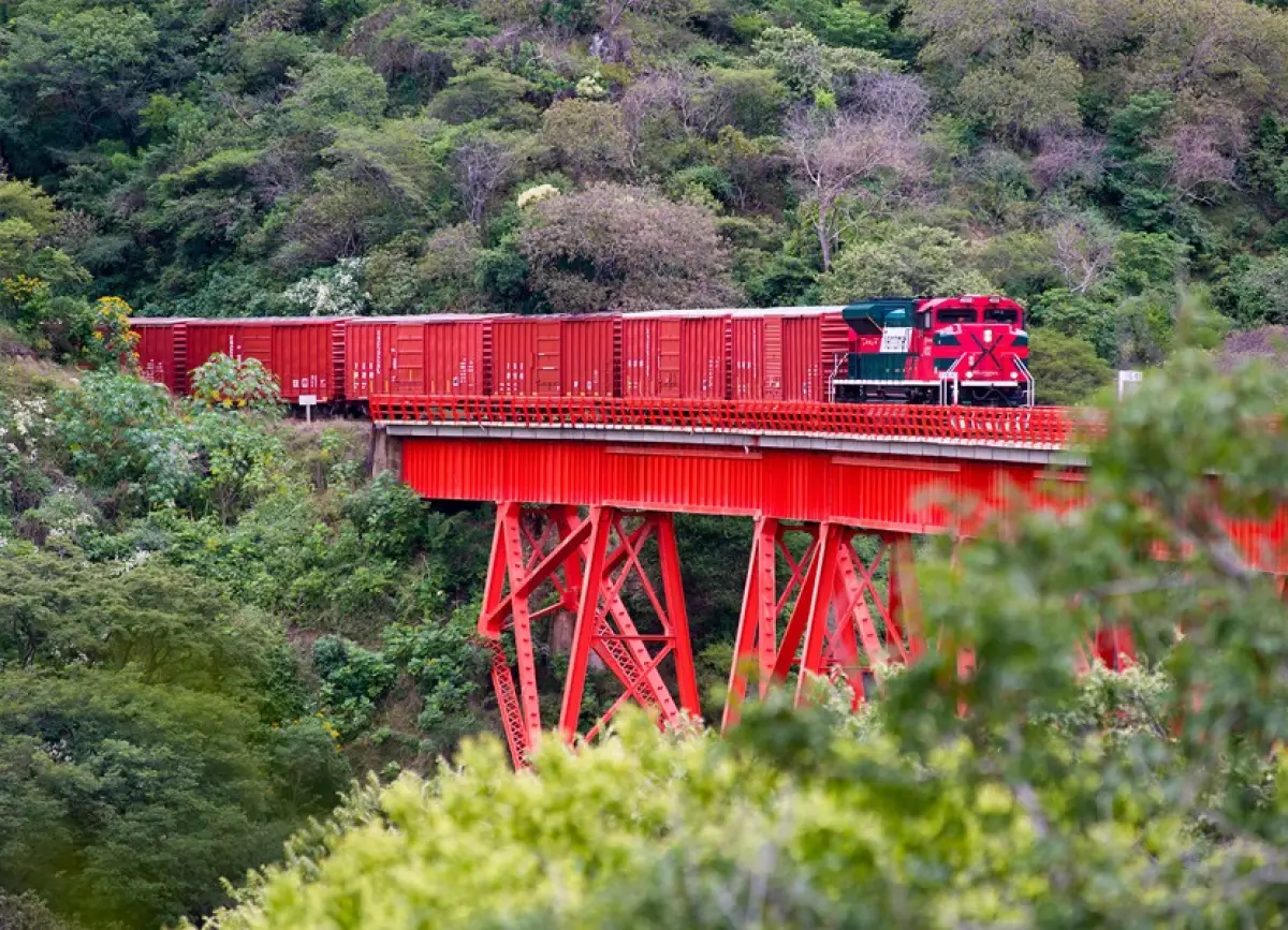 Ferrosur Grupo México
