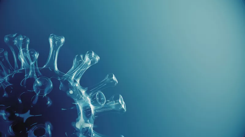 DNA Estructura molecular