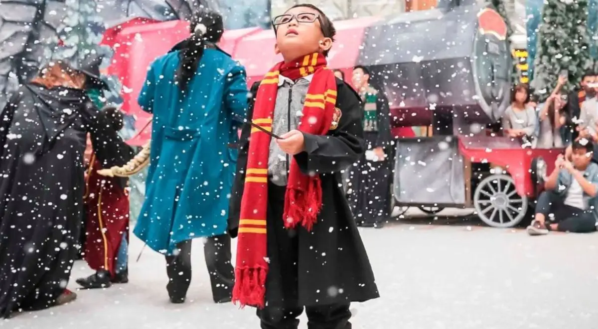 Harry Potter