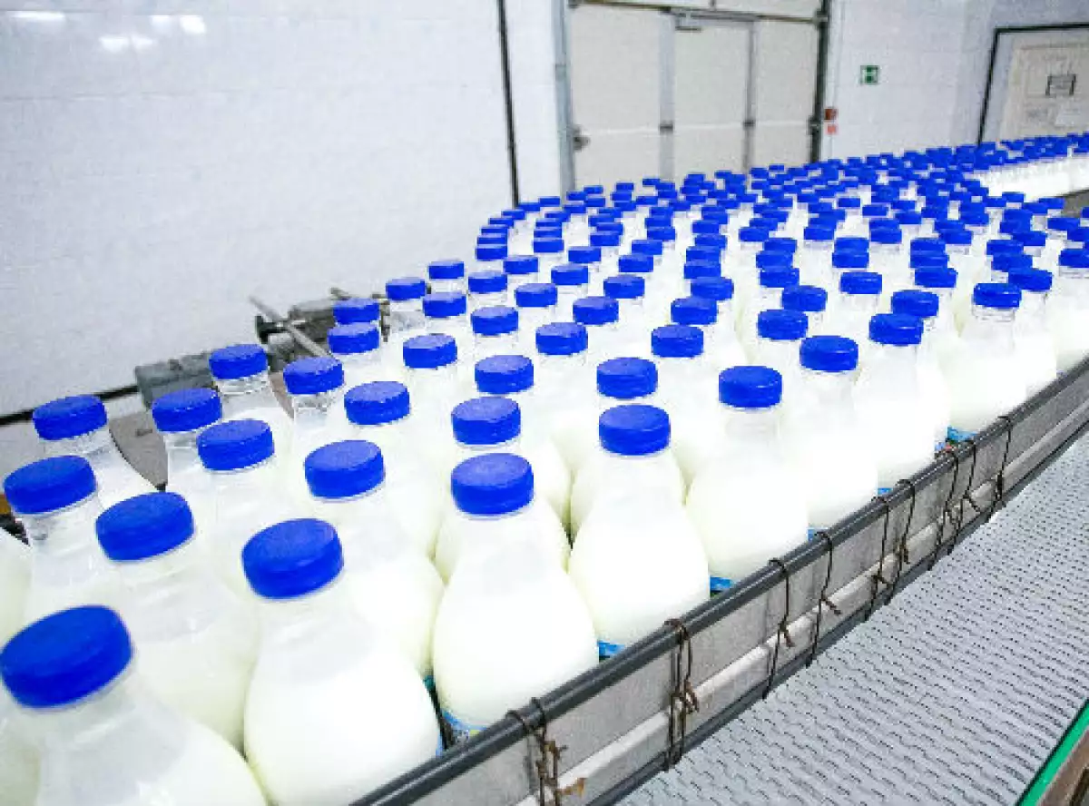 procesamiento de leche 1