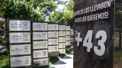 43 estudiantes