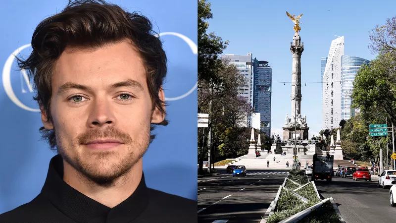 HarryStyles.jpg