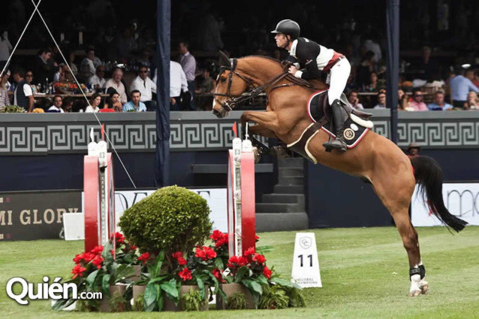 Scott Brash