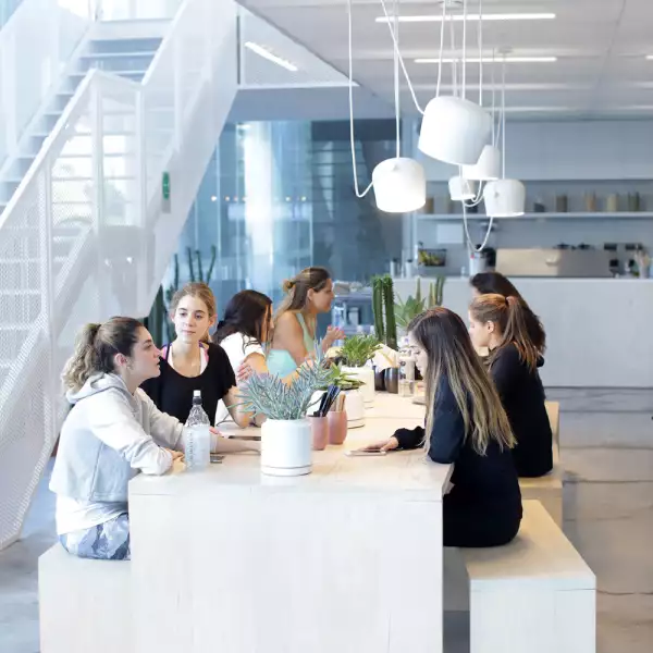 Experiencia Park Plaza