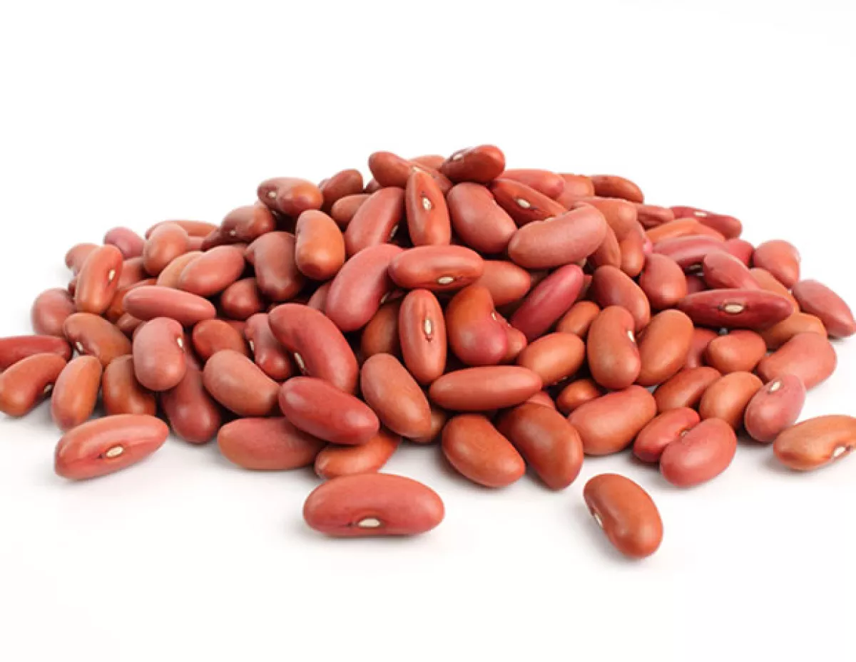El frijol, junto con otras leguminosas contienen muchas proteínas que afectan e inflaman el abdomen.