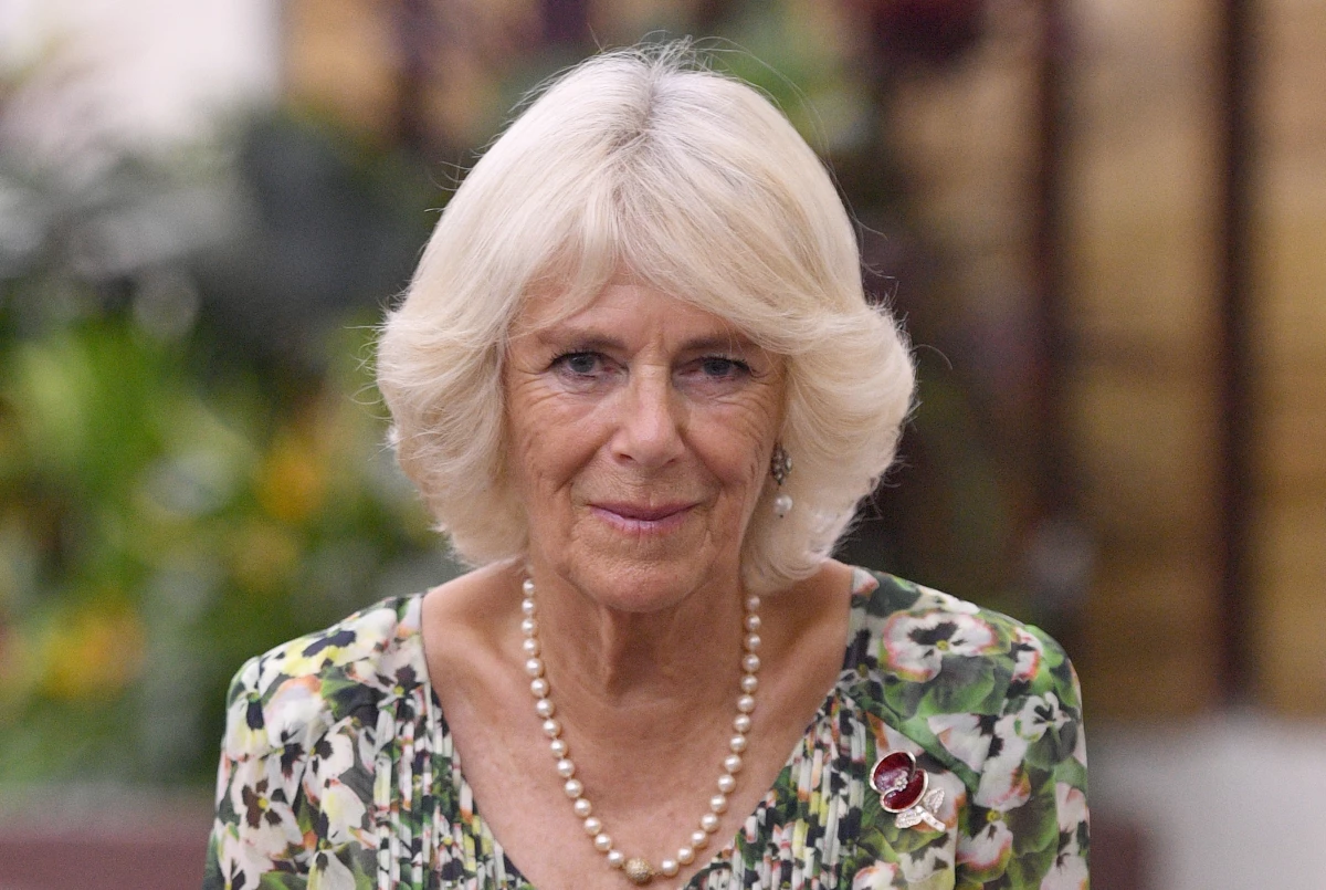 Camilla en África, 2018