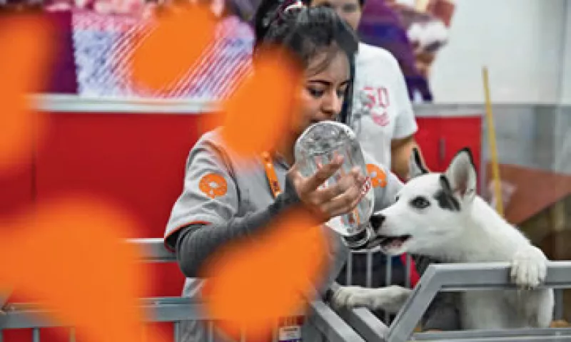 Maskota nació en 1994, cuando no había tiendas de animales ni productos para ellos. Hoy tiene 5% del mercado. (Foto: Jesús Almanza/Revista Expansión)