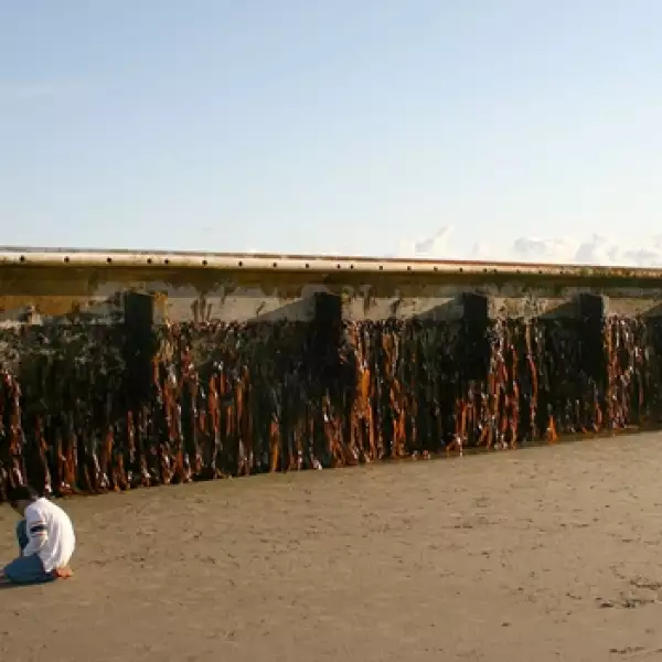 muelle tsunami japon