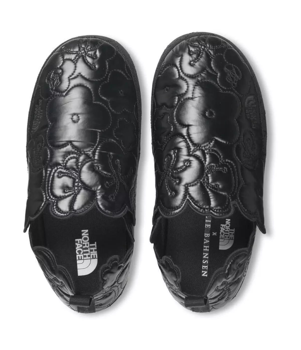 the-north-face-x-cecilie-bahnsen-