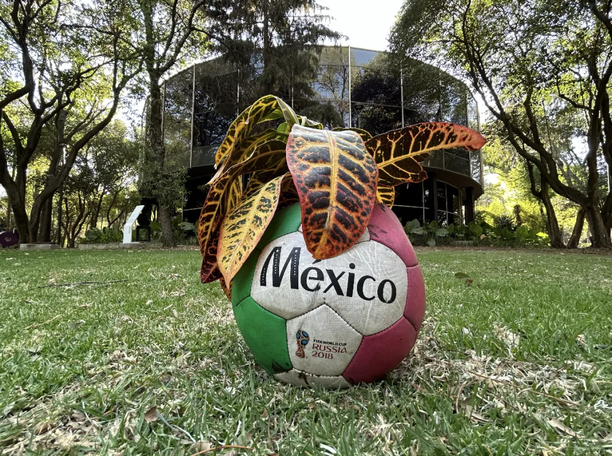 Uno de los balones de Tiro Libre, instalación de Rodrigo Ímaz en el Museo de Arte Moderno