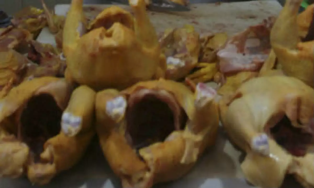 pollos