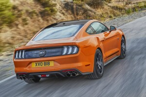 MUSTANG_55 back.jpg