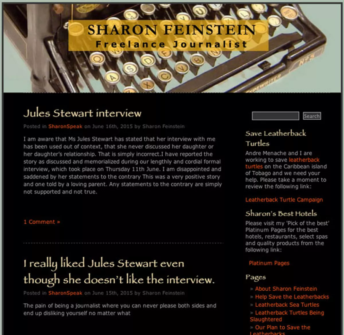 Esta es la entrada que se puede leer en el blog de la periodista británica Sharon Feinstein.