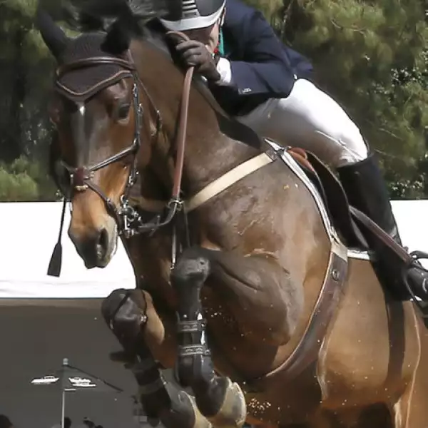 José Antonio Chedraui