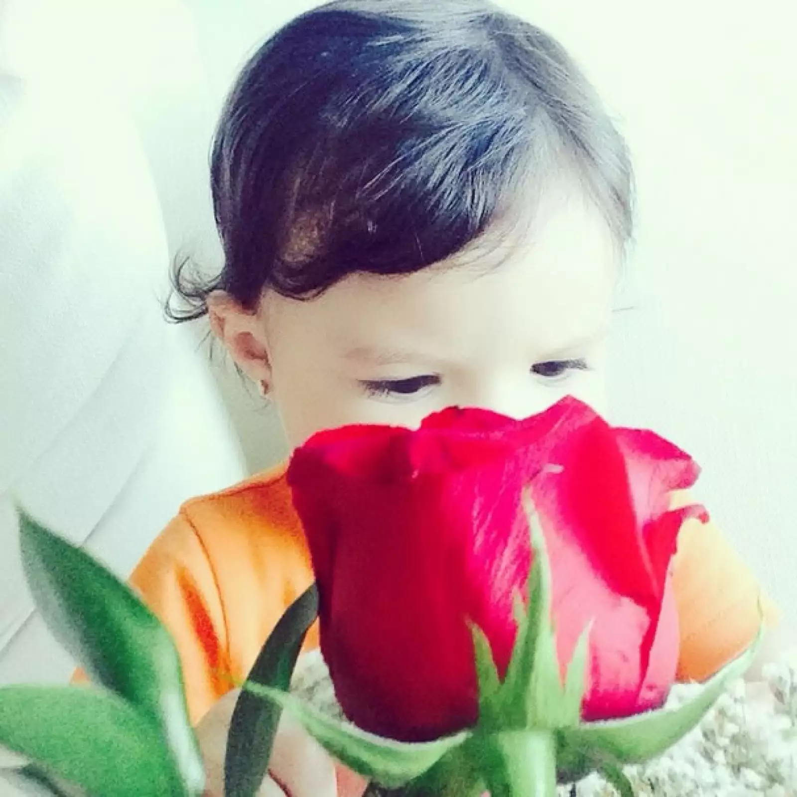 "Hoy le traje flores al amor de mi vida por hacerme tan feliz", publicó con esta tierna imagen.