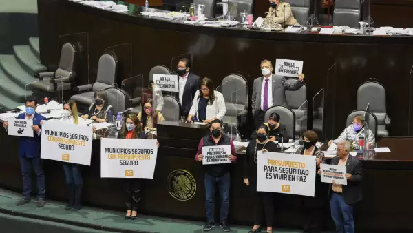 diputados movimiento ciudadano