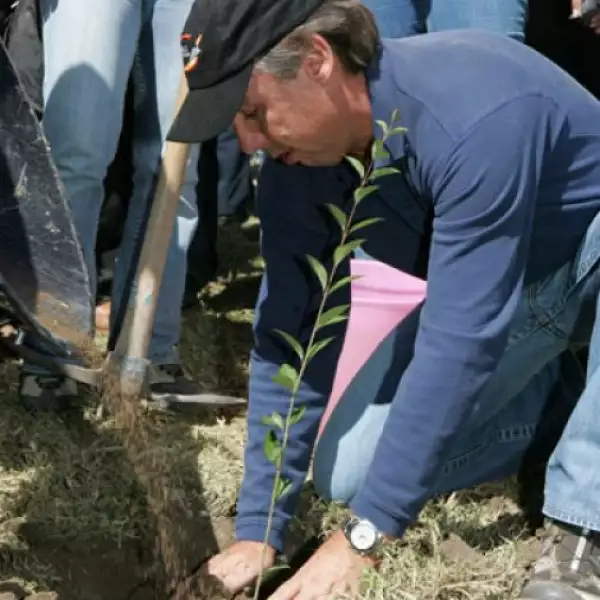 Emilio Azcárraga Jean, presidente de Grupo Televisa, no le importó ensuciarse las manos y plantó un árbol.