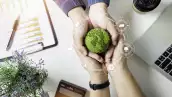 negocios sostenibles
