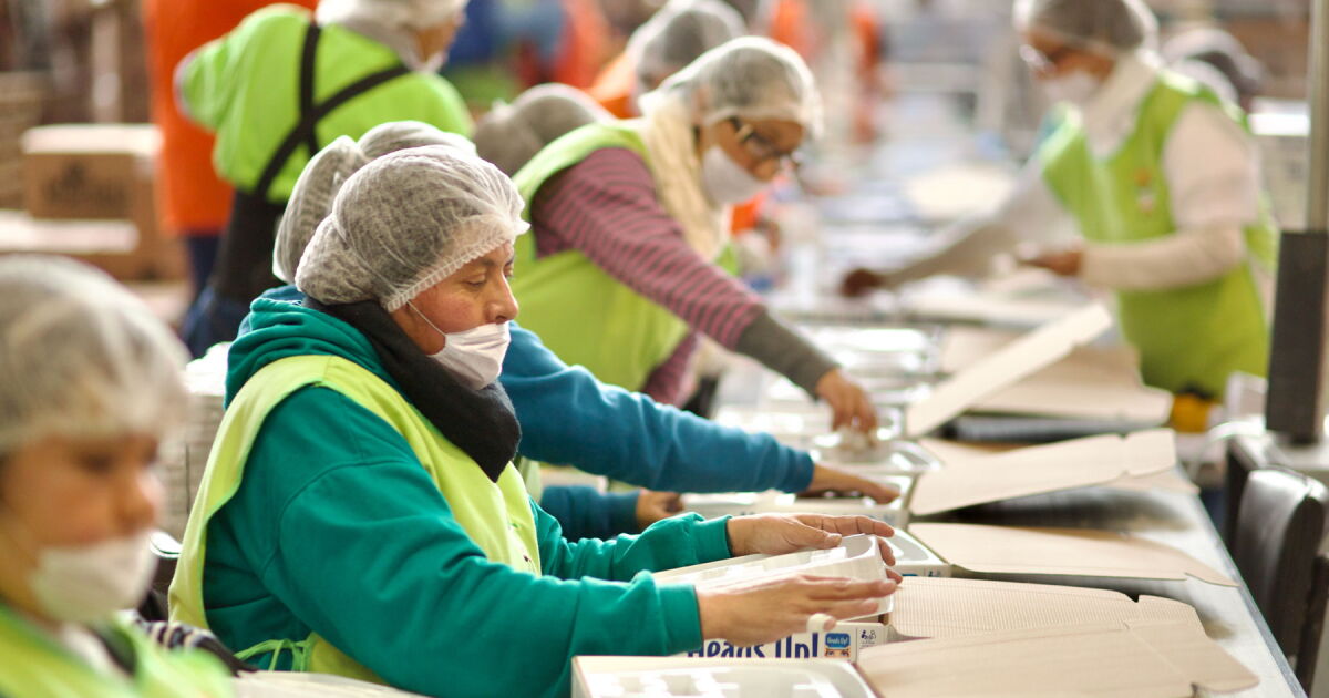 EMPRESAS BAJO FUEGO: REFORMAS LABORALES Y FISCALES GOLPEAN LA RENTABILIDAD