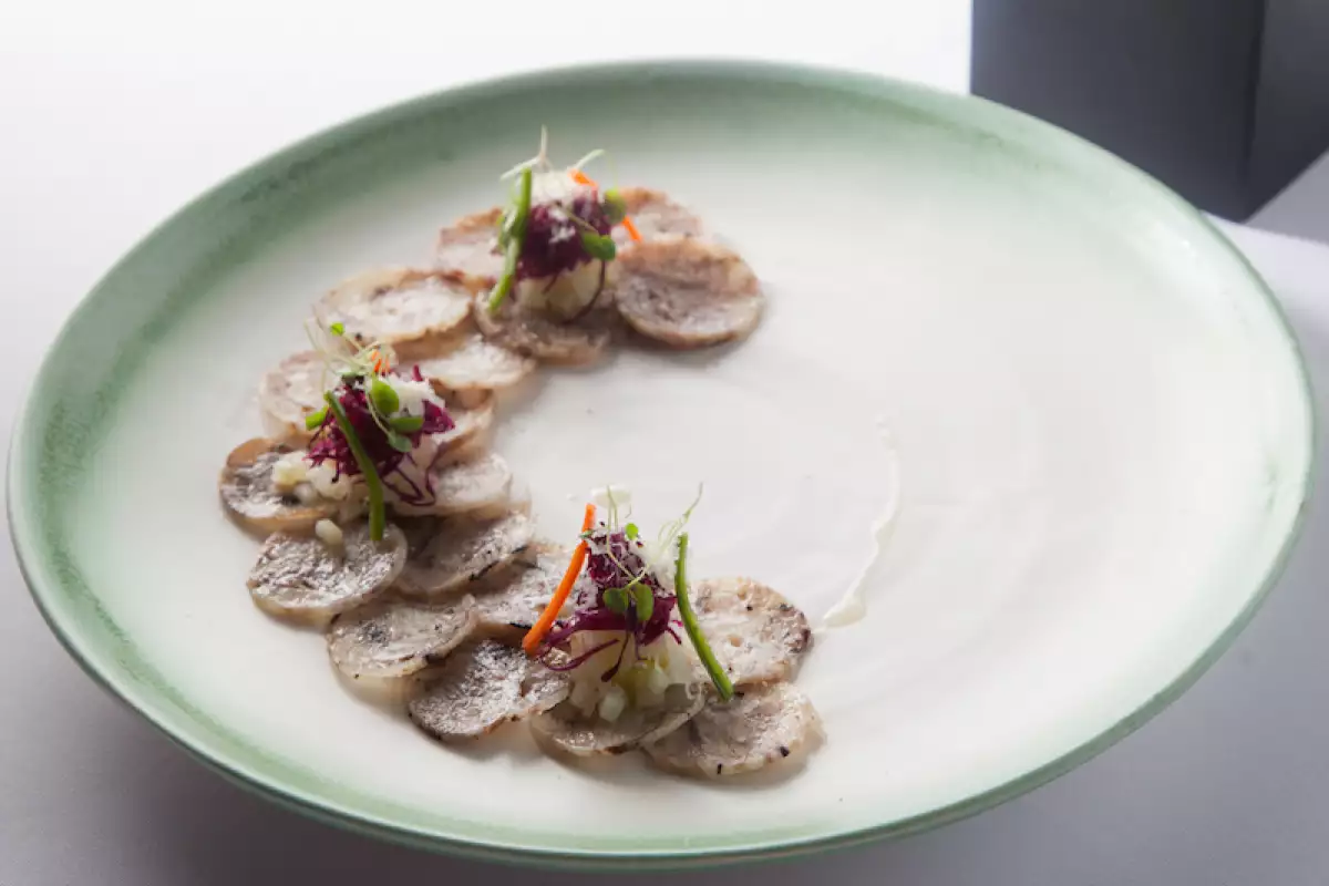 Life and Style Amaranta 2.jpg