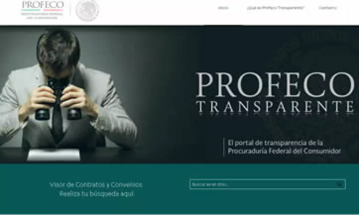 La página es una de las más novedosas en la materia, aseguró la dependencia. (Foto: Tomada de transparencia.profeco.gob.mx)