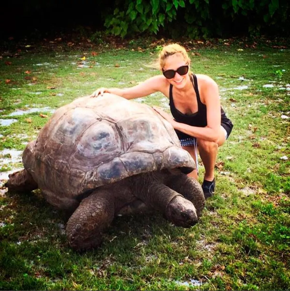 Hanna se mostró sorprendida por esta tortuga de 150 años de edad.