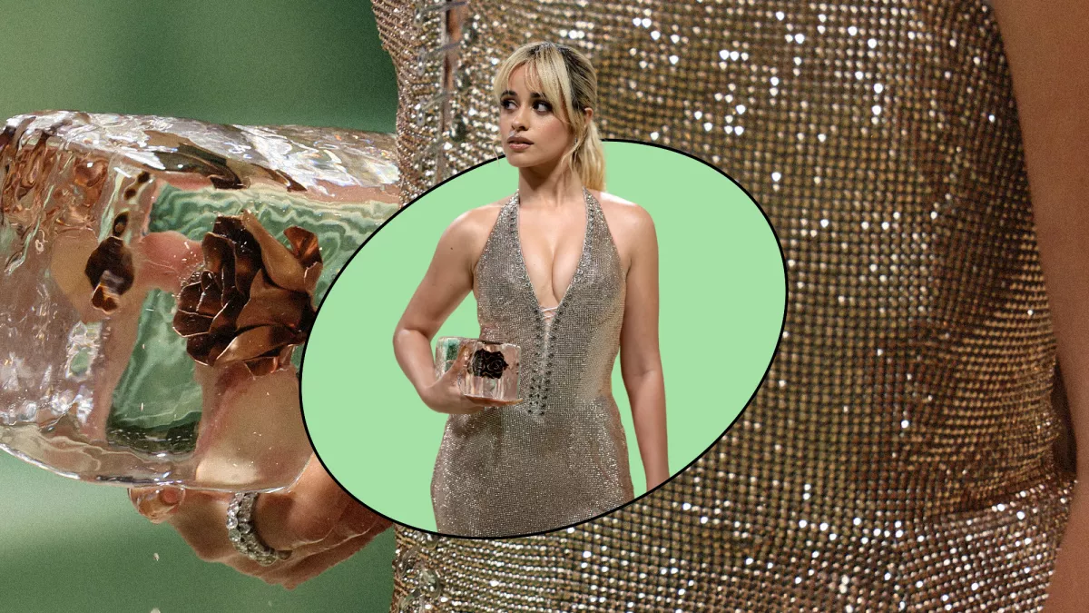 Camila Cabello desmiente los rumores sobre su bolsa de hielo de 22 mil dólares en la Met Gala.