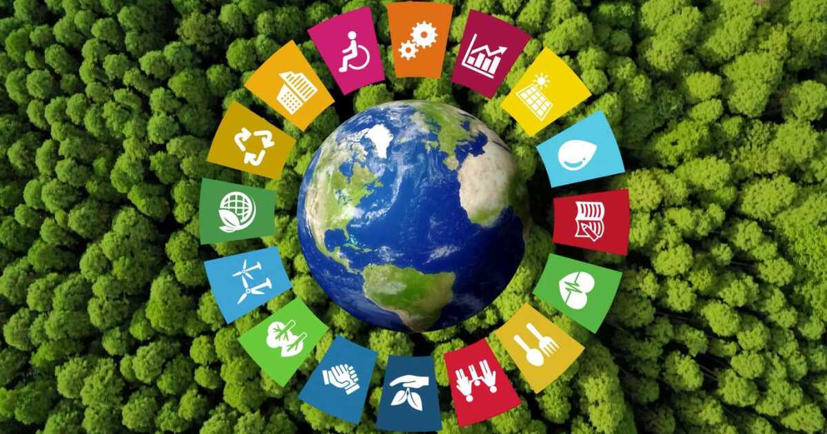 The value of sustainability reporting The value of sustainability reporting