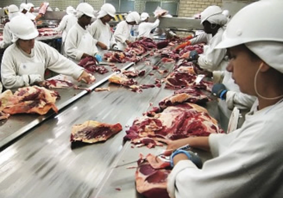 Actualmente, 98% de la carne de cerdo de exportación está dirigida a Estados Unidos, Japón y Corea. (Foto: AP)