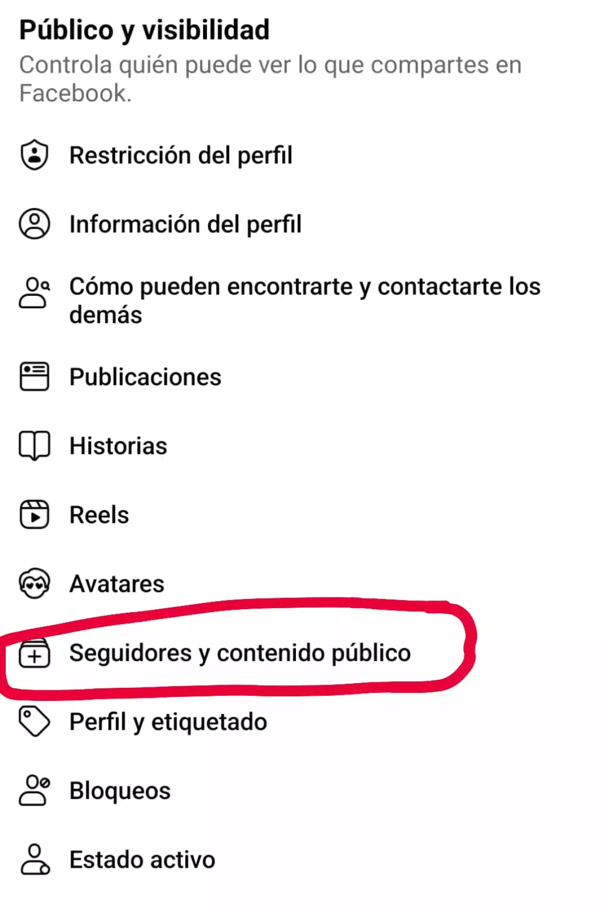 ver-seguidores-ig
