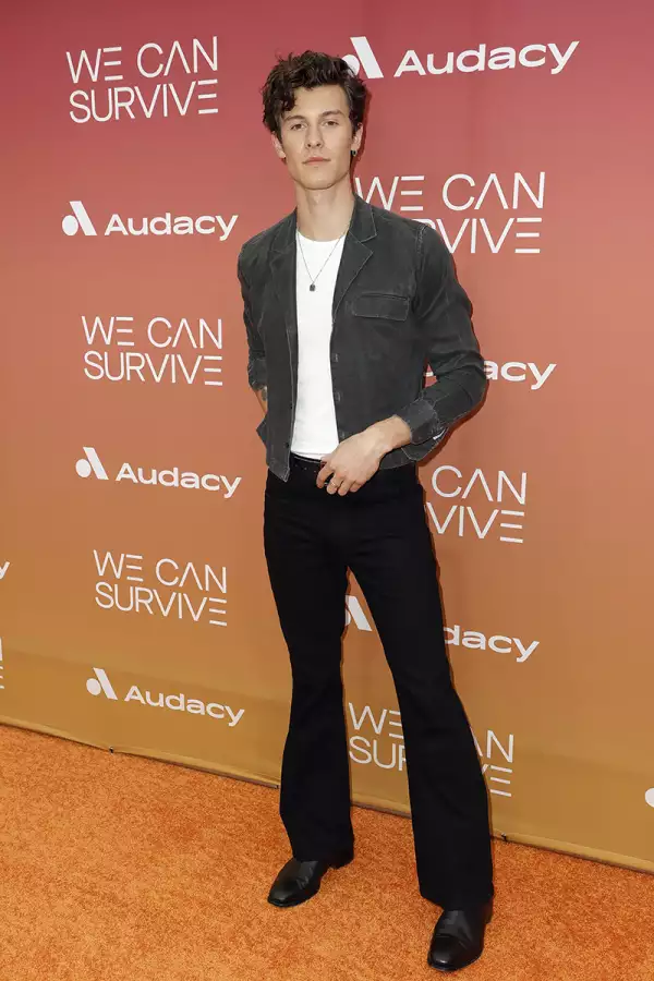 Shawn Mendes, cantante