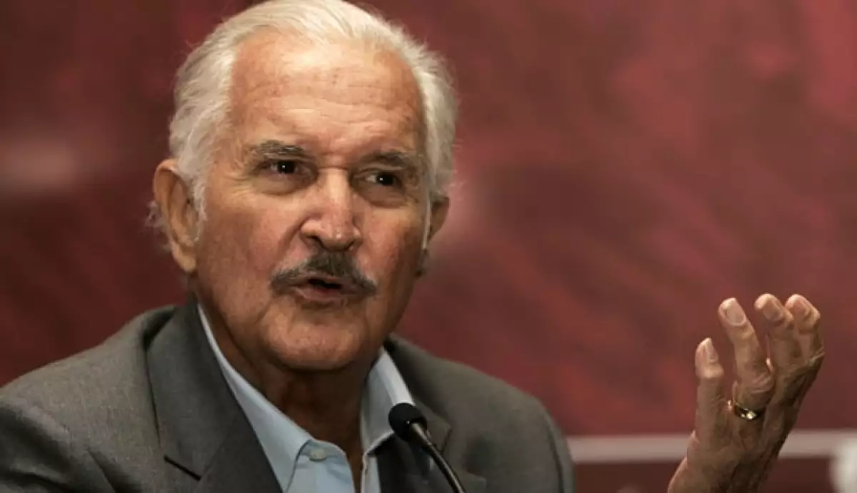 El novelista calificó la polémica legislación como una "barbaridad" y como "una ley idiota".