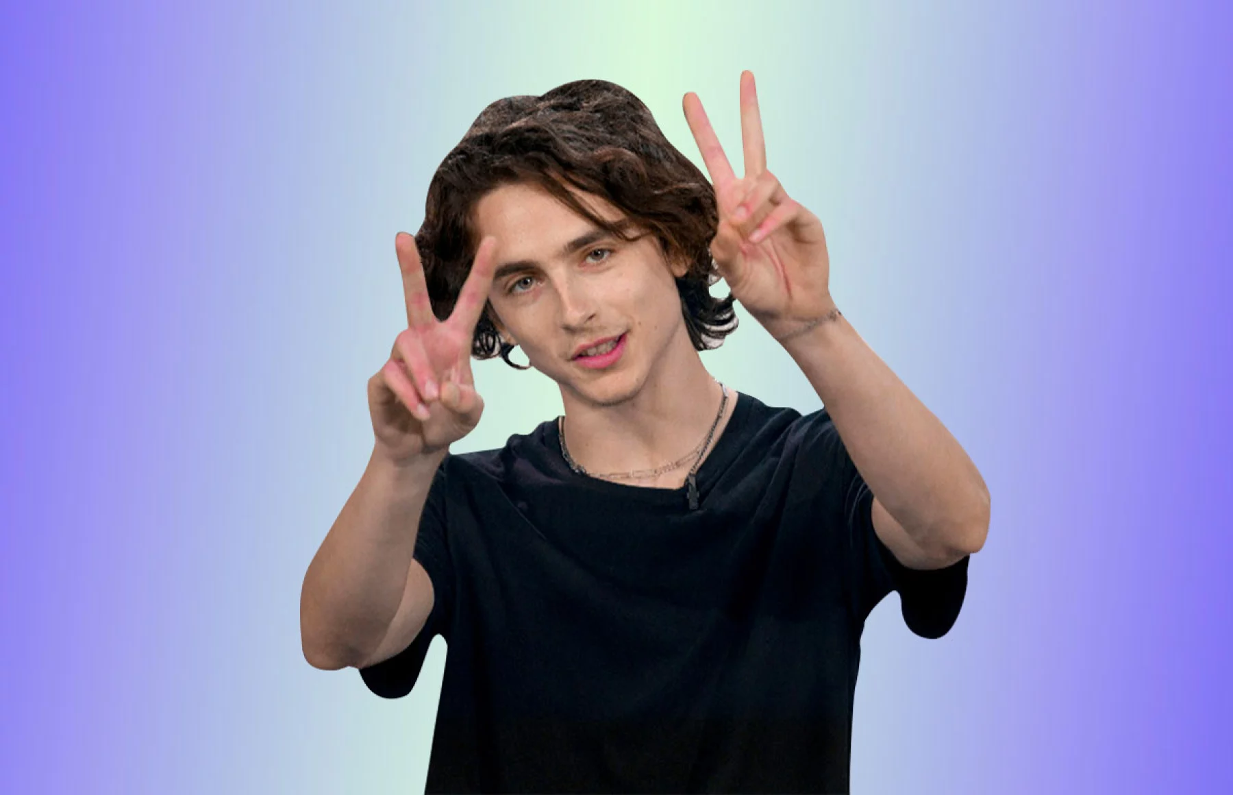 Foto: GettyImages, Timoth´é Chalamet
