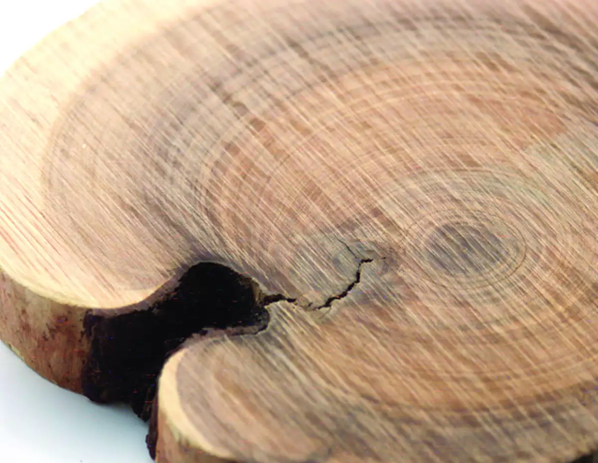 El sándalo tiene una historia mística, por lo que hace del perfume algo increíblemente especial.