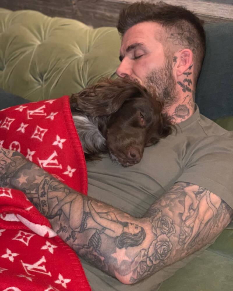 David Beckham y su mascota Olive