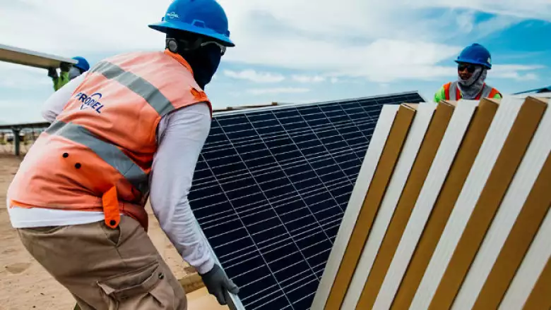 huerto solar Enel 5