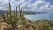 Baja California