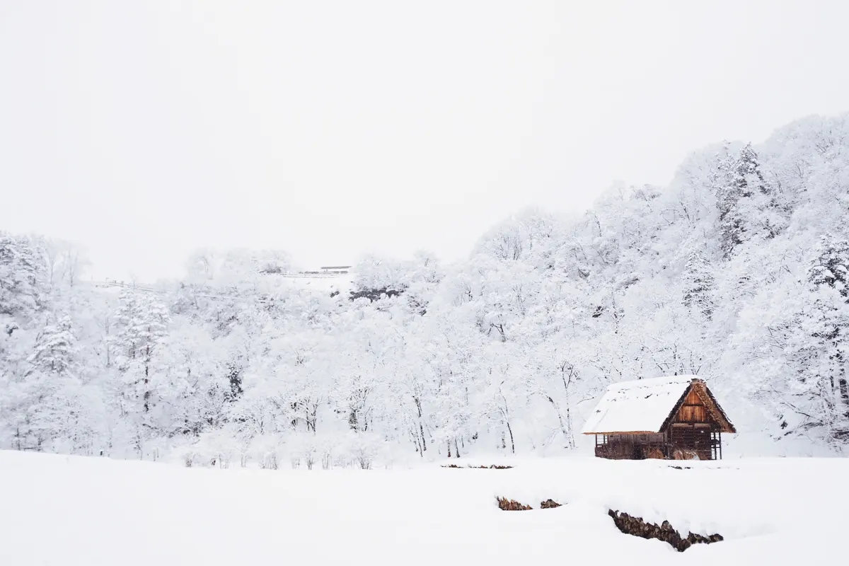 Parque Nacional nieve