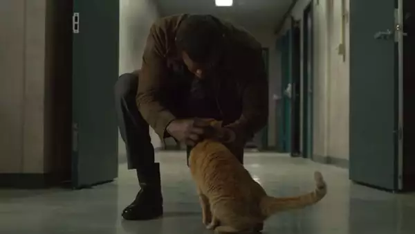 Nick Fury