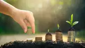 Money growth Saving money. Upper tree coins to shown concept of growing business