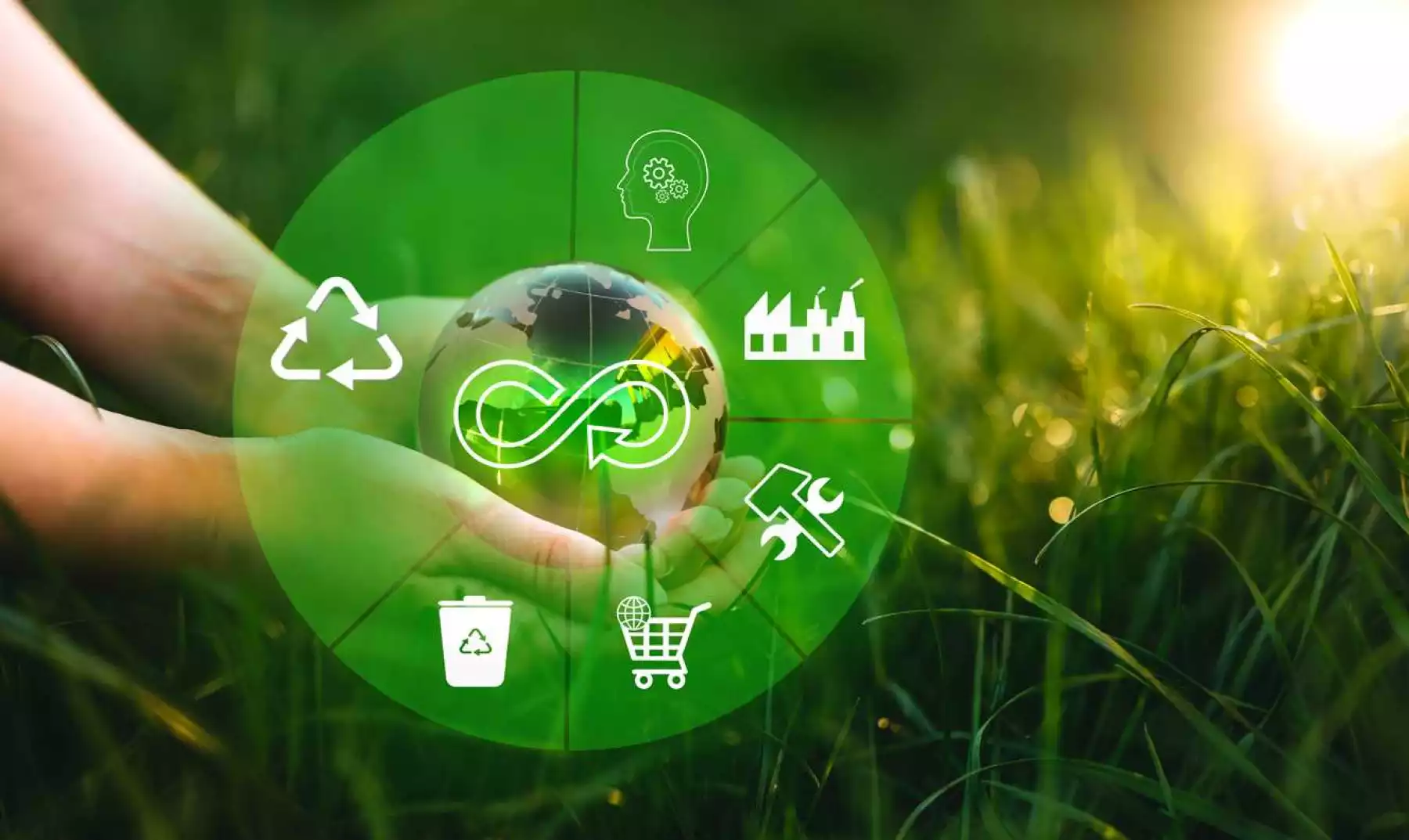 Emprendedores: Por qué pensar en la Economía Circular