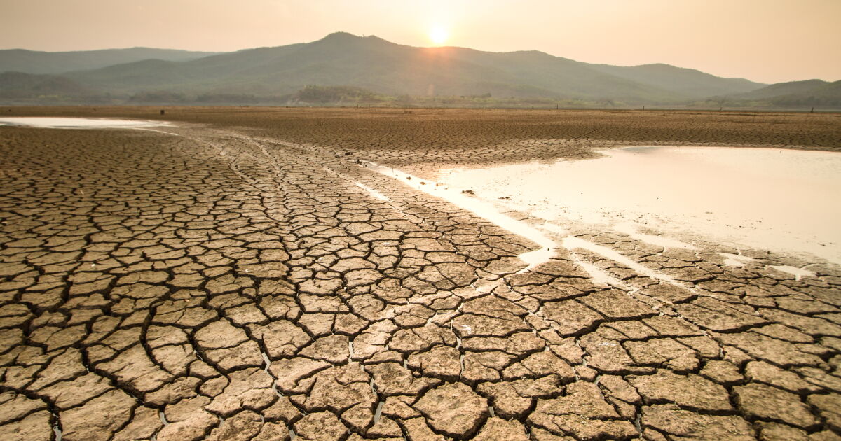 Jeopolitik olayların şirket yönetimine etkisi