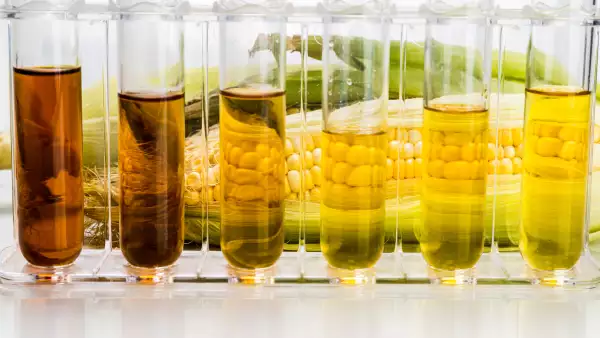 Corn derived ethanol biofuel with test tubes on white background