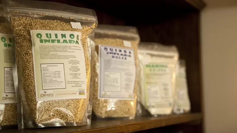 quinoa semillas cereales nutricion